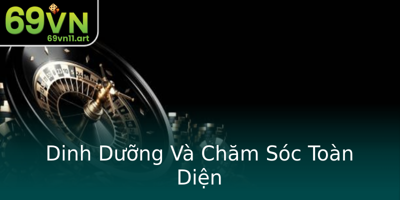 Dinh Dưỡng Và Chăm Sóc Toàn Diện Dinh Dưỡng Và Chăm Sóc Toàn Diện