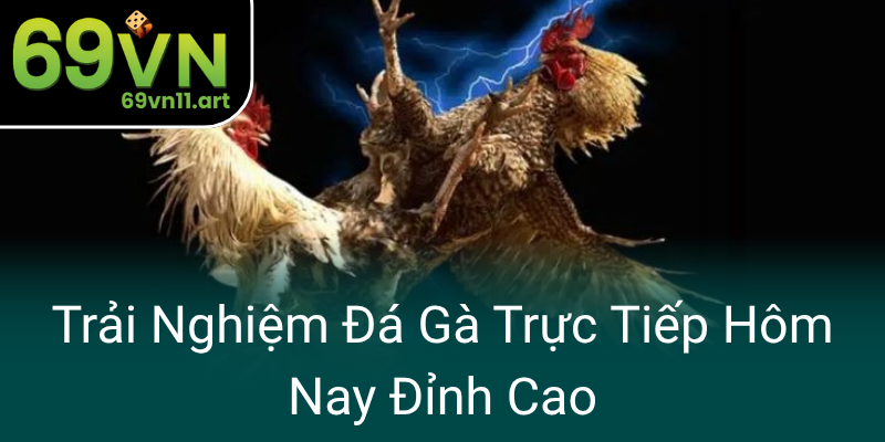 Trai Nghiem Da Ga Truc Tiep Hom Nay Dinh Cao0